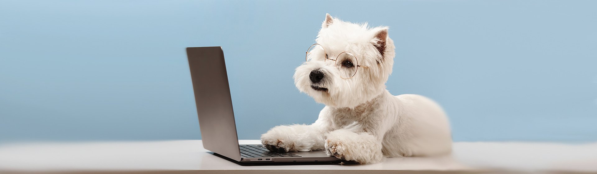 shutterstock_2166277425_banner