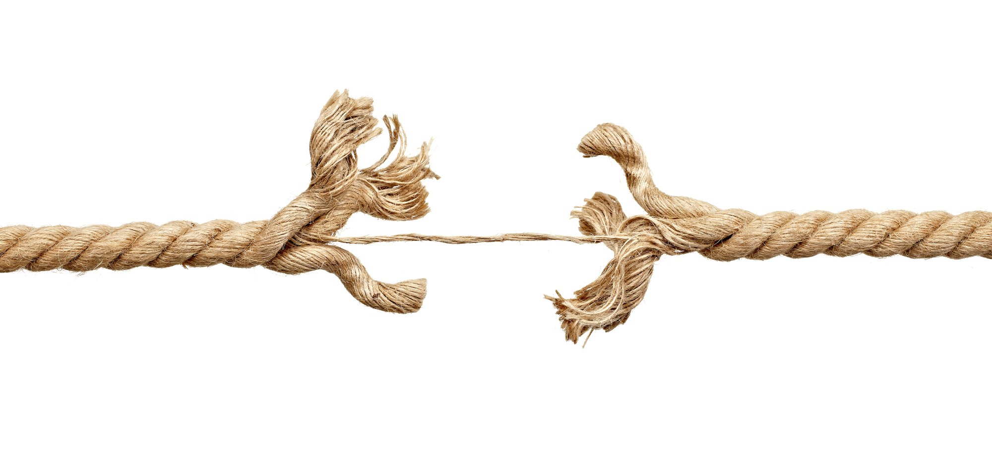 shutterstock_1845528229